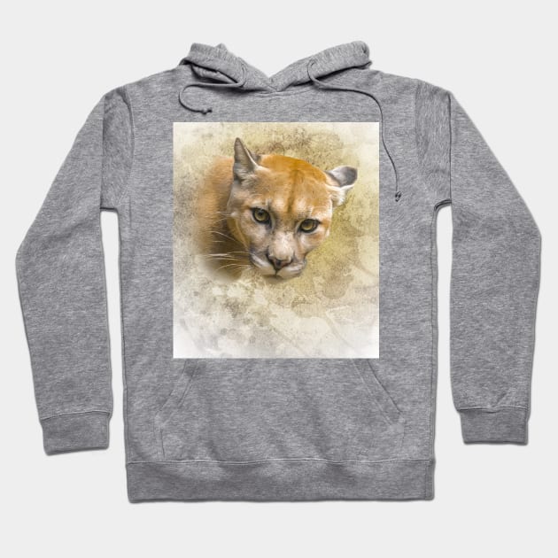 Mountain lion Hoodie by Guardi